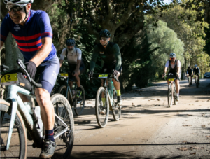 Equipo de ciclistas de rura por el bosque