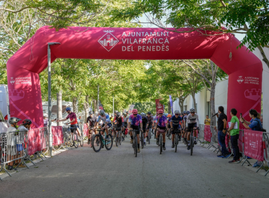 Equipo de ciclistas de ruta por la carretera