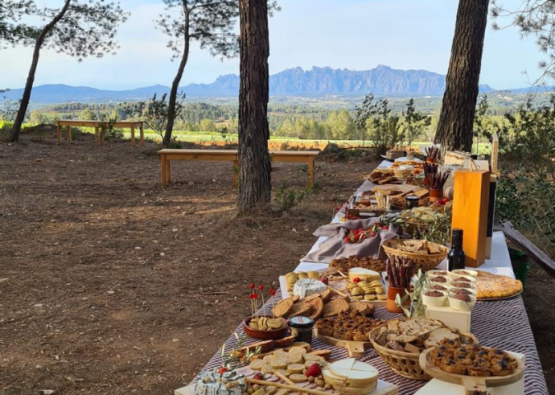 Merienda con aperitivos al aire libre